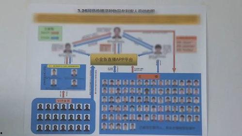 昆明房价最新爆料,涨跌动态与未来趋势一览